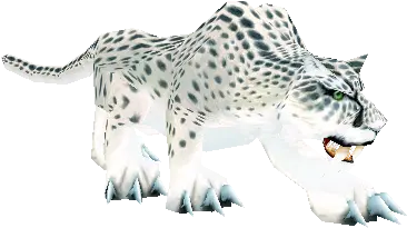  Snow Leopard Classicpetscom African Leopard Png Snow Leopard Png