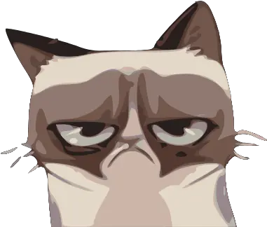  Gtsport Decal Search Engine Grumpy Cat Cartoon Transparent Png Grumpy Cat Png