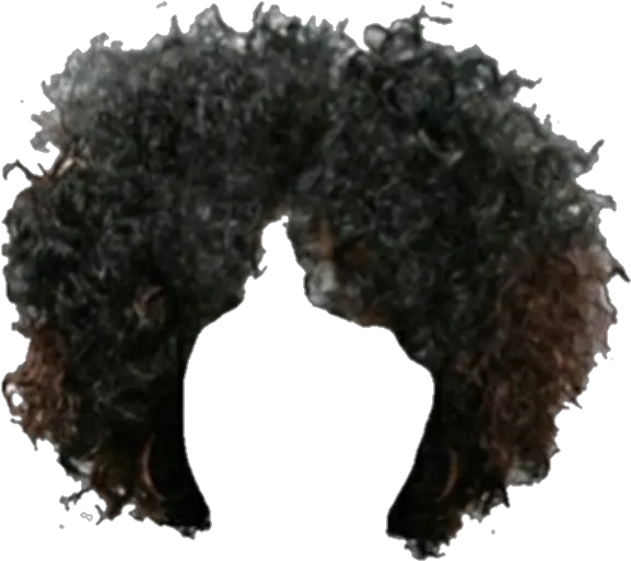  Hair Brownhair Afro Wig Snatched Sticker By Jaklynn Afro Wig Png Wig Transparent Background