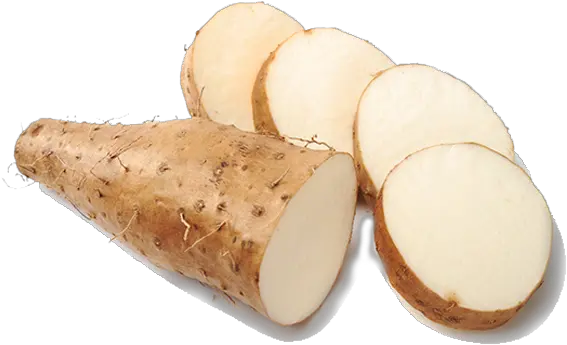  Yam U2013 Wrcdesibazaar Chinese Yam Png Yam Png