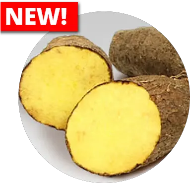  Yams Fresh Png Yam Png