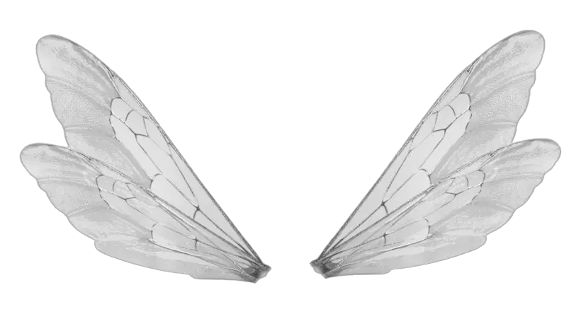  Download Wings Transparent Bee Male Fairy Wings Png Png Realistic Fairy Wings Png Wings Png