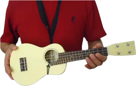  Download Hd Ukulele Png Transparent Acoustic Guitar Ukulele Png