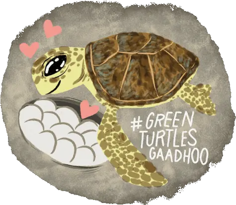  Green Turtle Sea Sticker Green Turtle Sea Turtle Tortoise Png Sea Turtle Icon