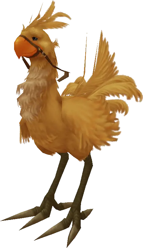  Chocobo Fantasy X Final Fantasy X Chocobo Png Chocobo Png