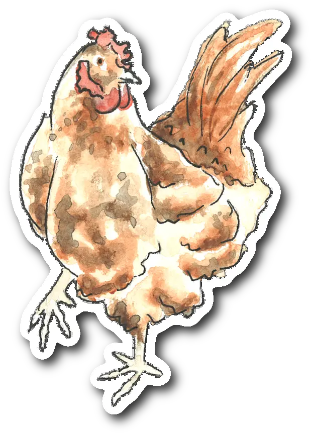  Little Red Hen Sticker Kleine Rote Hennegrußkarte Karte Cartoon Png Gru Png