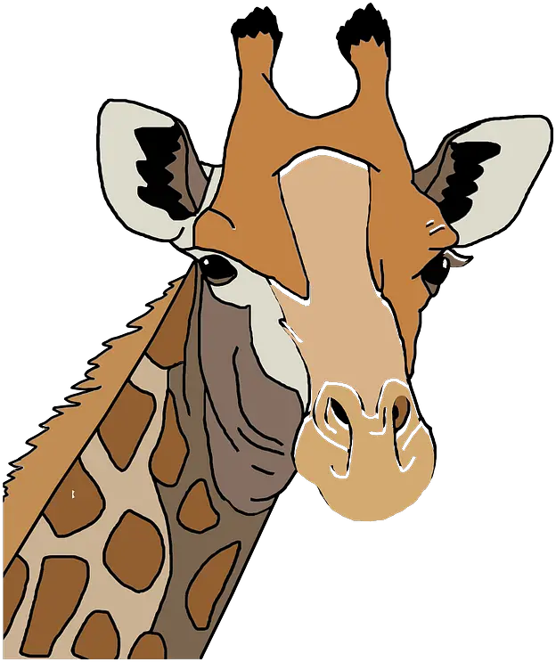  Giraffe Head Clipart Giraffe Head Clip Art Png Head Transparent