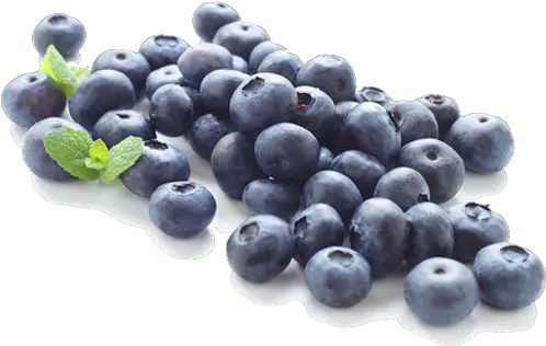  Png Transparent Blueberry Free Blueberries Clipart Blueberries Png