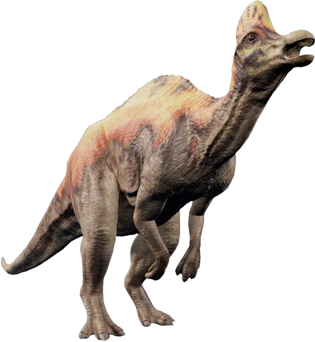  Jurassic World Evolution Wiki Jurassic World Evolution Corythosaurus Png Evolution Png