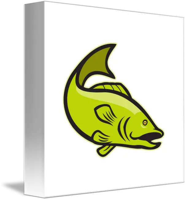  Largemouth Bass Fish Png Bass Fish Icon