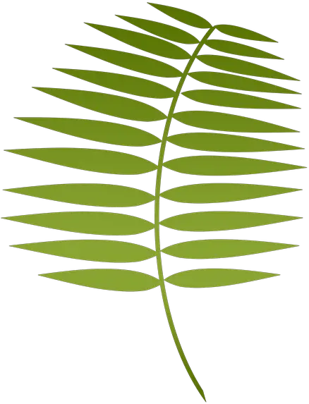  Palm Leaf Png Lent Clipart Palm Leaf Lent Palm 485588 Smooth Sumac Palm Leaf Png