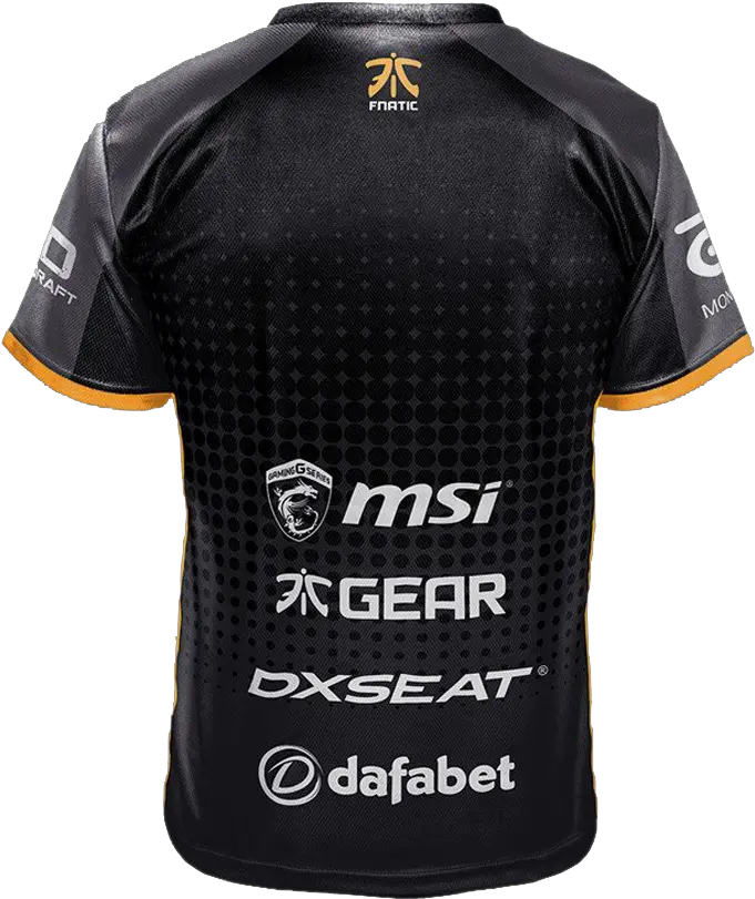  Esports Championship Series Msi Png Fnatic Logo