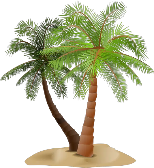  Library Of Date Palm Tree Png Stock Files Portable Network Graphics Palm Trees Png