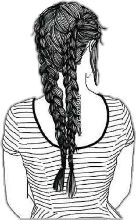  Download Drawing Cornrows French Braid Drawing Png Braid Png