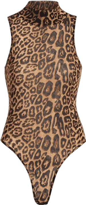  High Cut Bodysuit Leotard Png Leopard Print Png