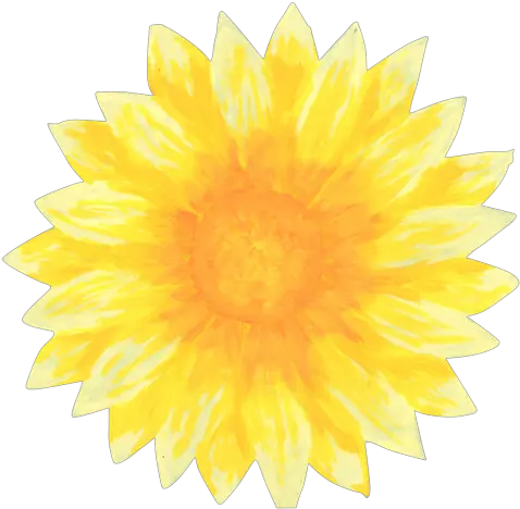  Download Clip Art Library Sunflowers Png For Free Fresh Sunflowers Png