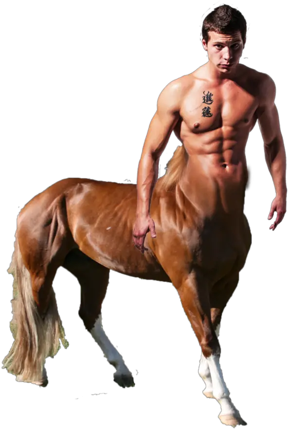  Centaur Transparent Free Png Play Centaur Png Horse Transparent Png