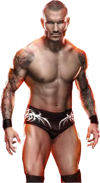  Wwe 2k15 Randy Orton Png Wwe 2k15 Triple H Png