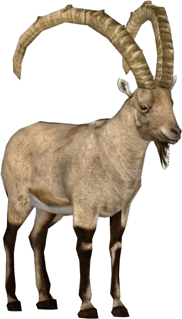  Ibex Clipart Argali Png Goat Transparent Background