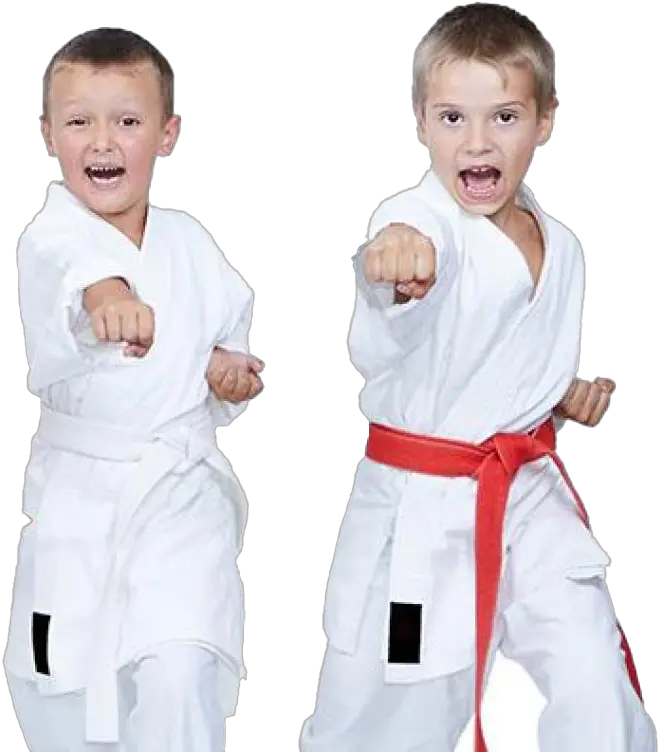  Karate Png Hd Quality Kyokushin Kids Karate Png