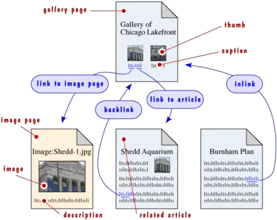  Wikipediagallery Pages Wikipedia Diagram Png Gallery Png