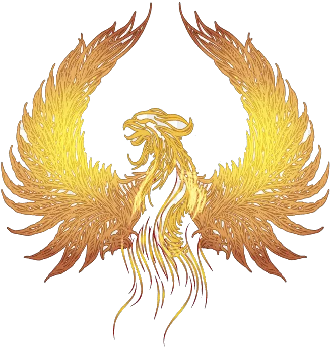  Wings Png Free Image Download