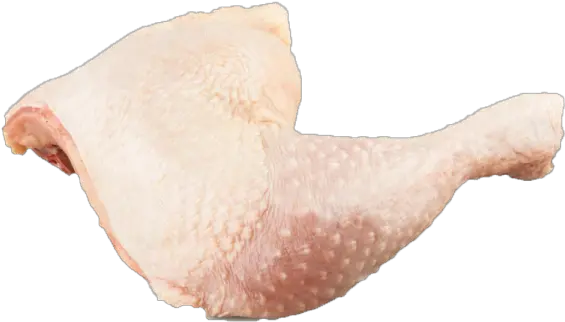  Download Chickenlegquarter Chicken Leg Quarters Png Image Sea Snail Quarter Png