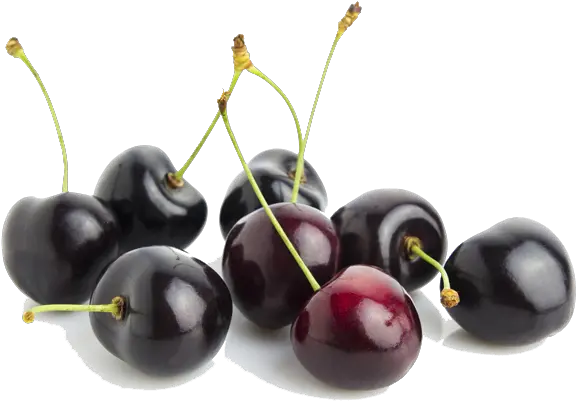  Black Cherry Transparent Hq Png Image Black Cherry Flavour Art Cherries Png