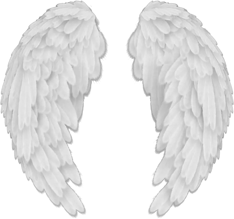  White Angel Wings Png 45145 Png Images Pngio Transparent Background Angel Wings Png Wing Png