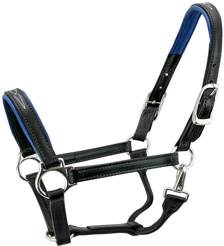  Signature Halter Horse S5000 Chair Png Tack Png