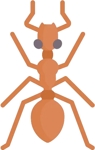  Ant Free Animals Icons Png Ant Icon