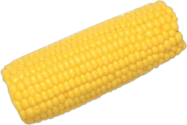  Corn Cob Psd Official Psds Corn On The Cob Png Corn Cob Png