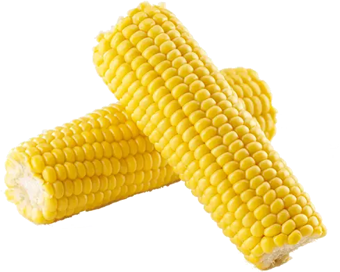  Corn Onthecob Chicken Cottage Corn In The Cob Transparent Png Corn Cob Png