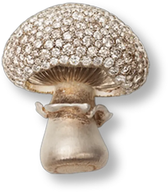  Mushrooms Hemmerle Agaricaceae Png Mushroom Transparent