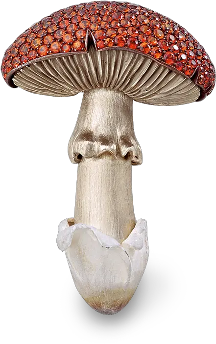  Mushrooms Hemmerle Jewellery Png Mushroom Transparent