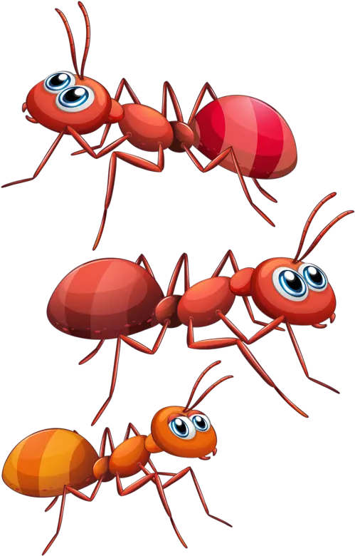  Download Ants Cartoon Png Ant Transparent