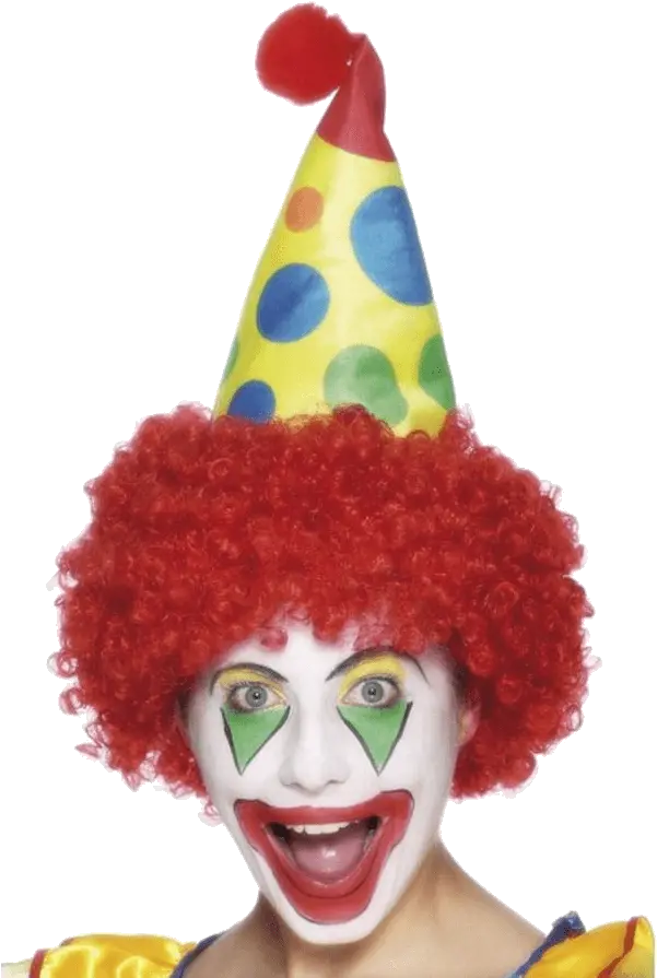  Clown Hat With Wig Clown Hat Png Clown Wig Png