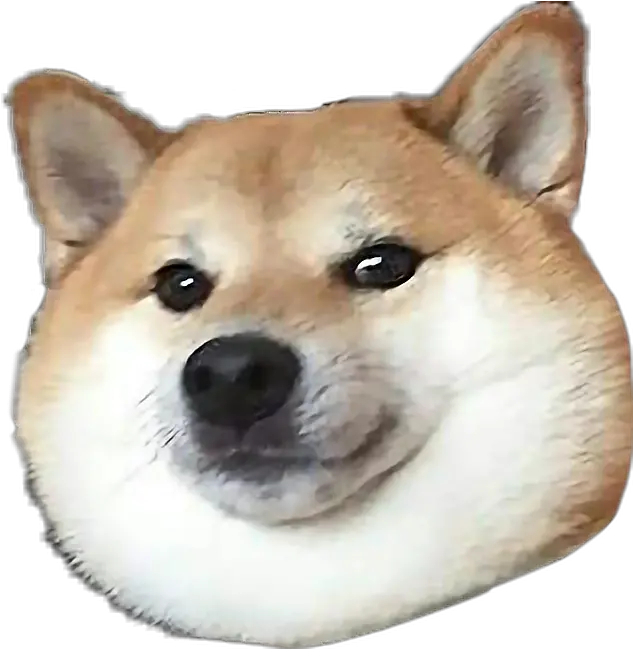  Doge Hd Posted By Samantha Thompson Shibe Transparent Png Shiba Inu Transparent