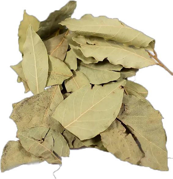  Bay Leaves Whole Dried Dried Bay Leaves Png Laurel Leaves Png