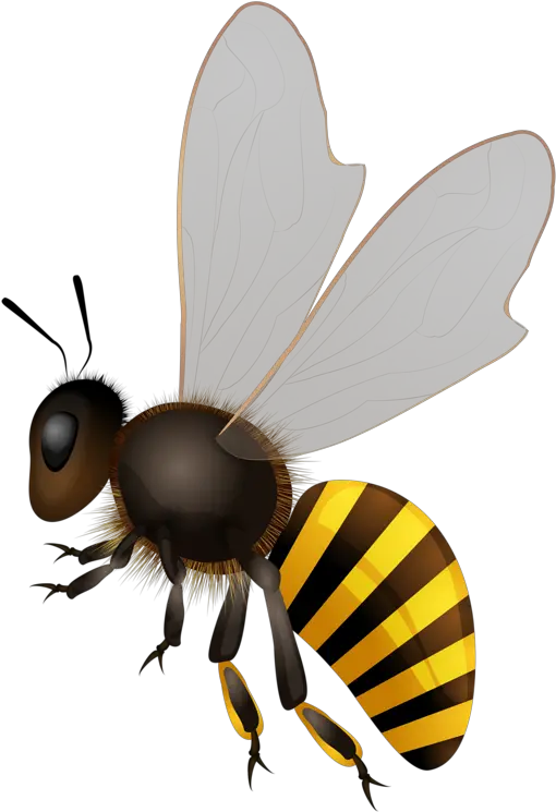  Honey Bees Transparent Png Clipart Bee Illustration Bees Png