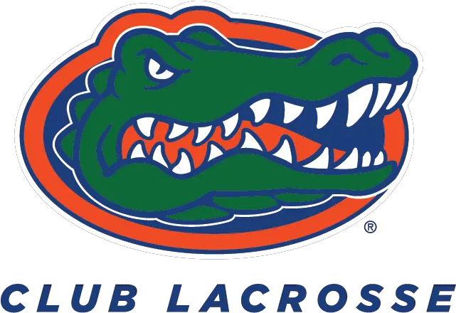  Library Of Football Gator Picture Stock Png Florida Gators Basketball Alligator Transparent Background