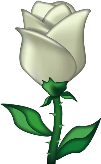  Emoji Iphone White Rose Emoji Png Rose Emoji Png