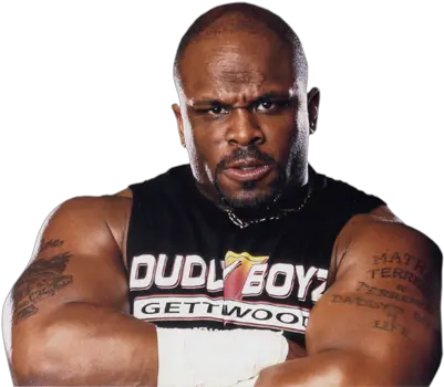  Dexterblaquewrestling Professional Wrestlers Tna Impact D Von Dudley Png Hulk Hogan Transparent