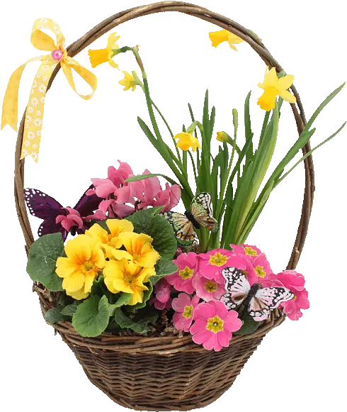  Spring Basket Of Flowers Pictures Photos And Images For Gif Basket Of Flowers Png Flowers Transparent Tumblr