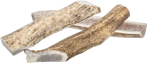  Redbarn Elk Antler Wood Png Antler Png