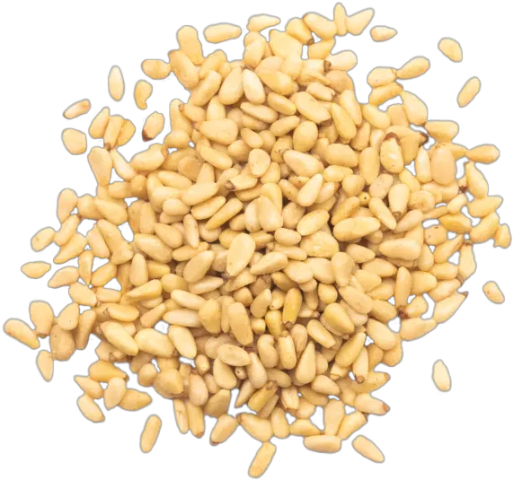  Pine Nuts Ateifi Emmer Png Nut Png