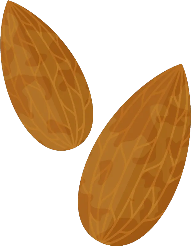  Almond Png Clipart Image Transparent Background Almonds Animated Almond Transparent