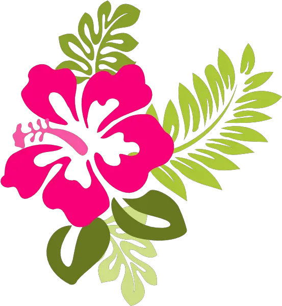  Pink Hibiscus Border Transparent U0026 Png Clipart Free Download Pink Hibiscus Clipart Hibiscus Flower Png