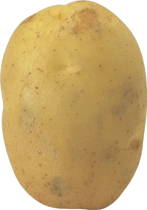  Potato Animation Yam Kawaii Transparent Potato Cartoon Png Kawaii Potato Png