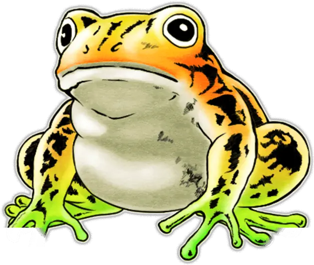  Download Unit Frog Big White Frog Full Size Png Image Frogs Frog Png